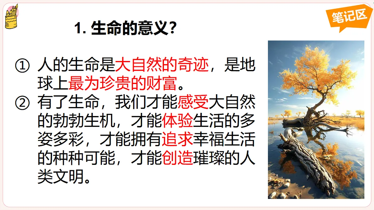 17346586第8页