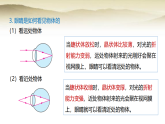 人教版八年级物理上册第五章透镜及其应用5.4眼睛和眼镜课件+教案（表格式）