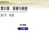 人教版八年级物理上册第六章质量与密度6.1质量课件+教案（表格式）