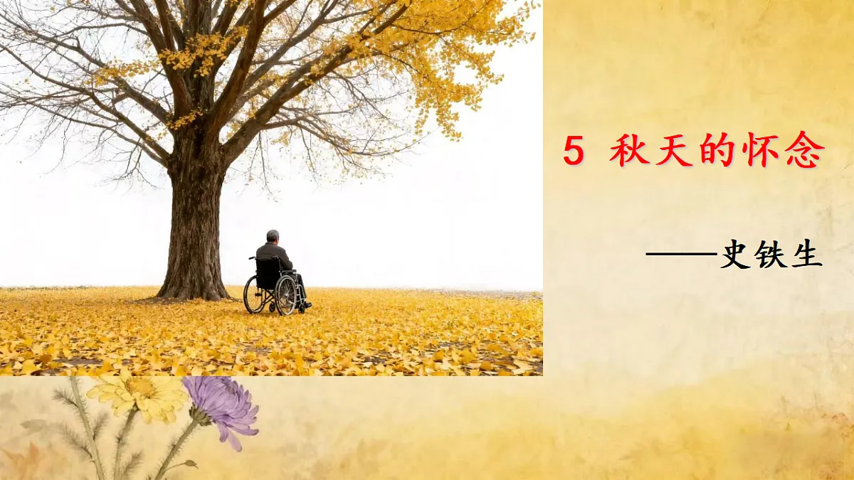 17346775第1页
