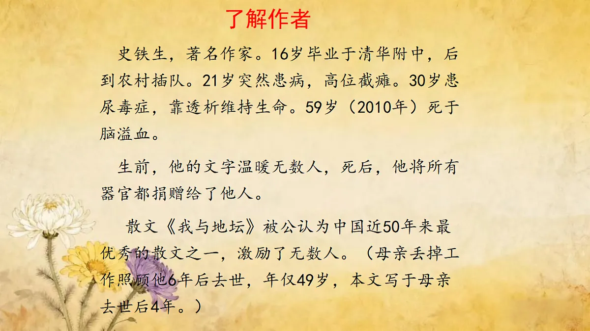 17346775第8页