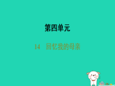 河南省2025七年级语文上册第四单元14回忆我的母亲课件新人教版