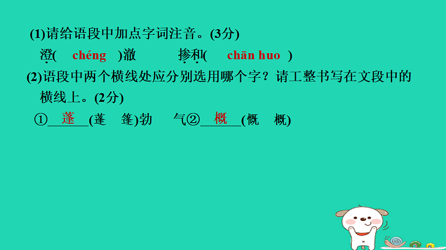 17346885第5页