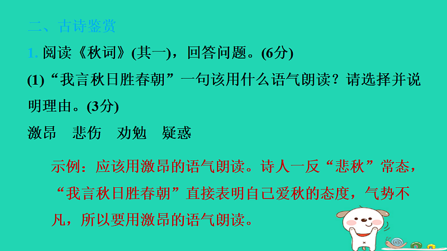 17346895第5页