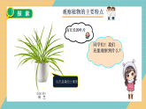 教科版小学科学一年级上册 1.4《给植物画张像》课件+视频素材
