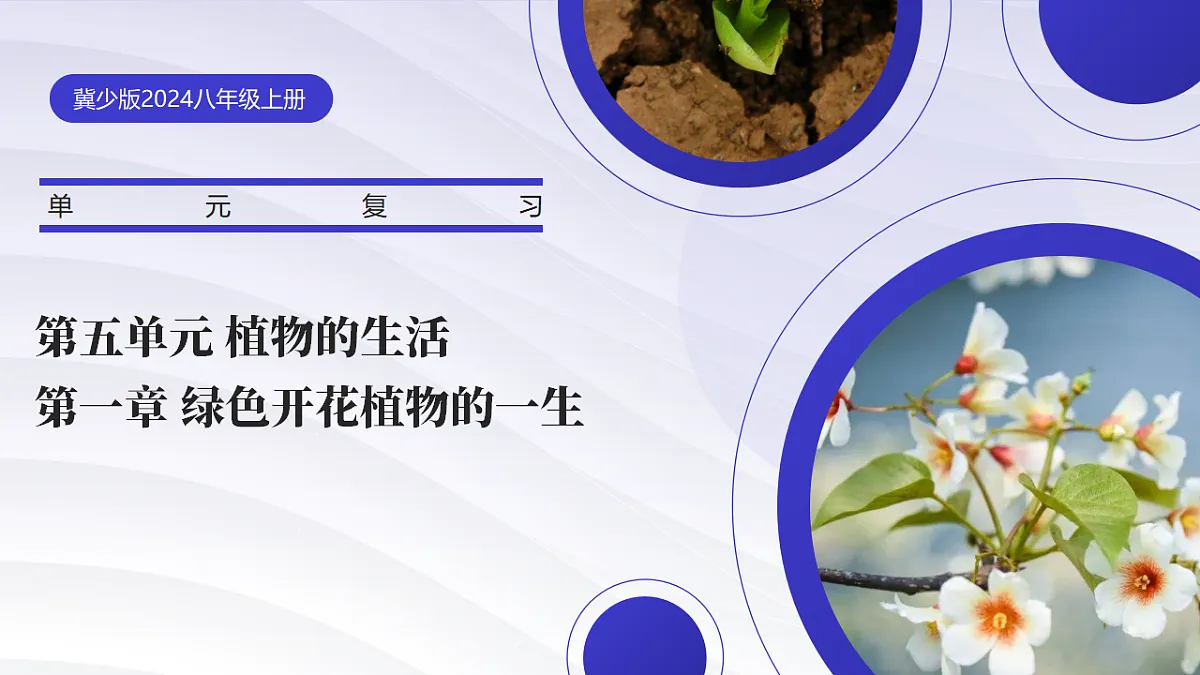 17347139第1页