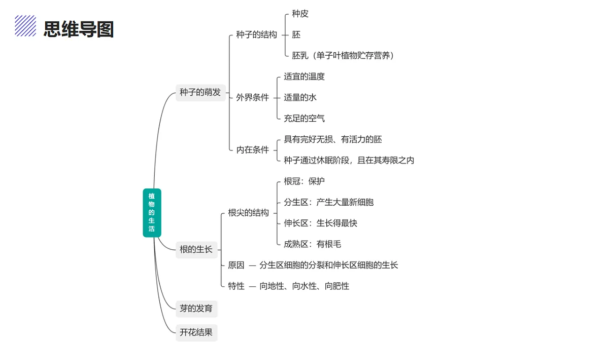 17347139第3页