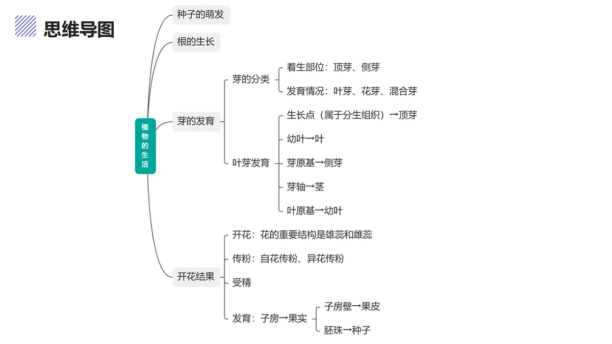 17347139第4页