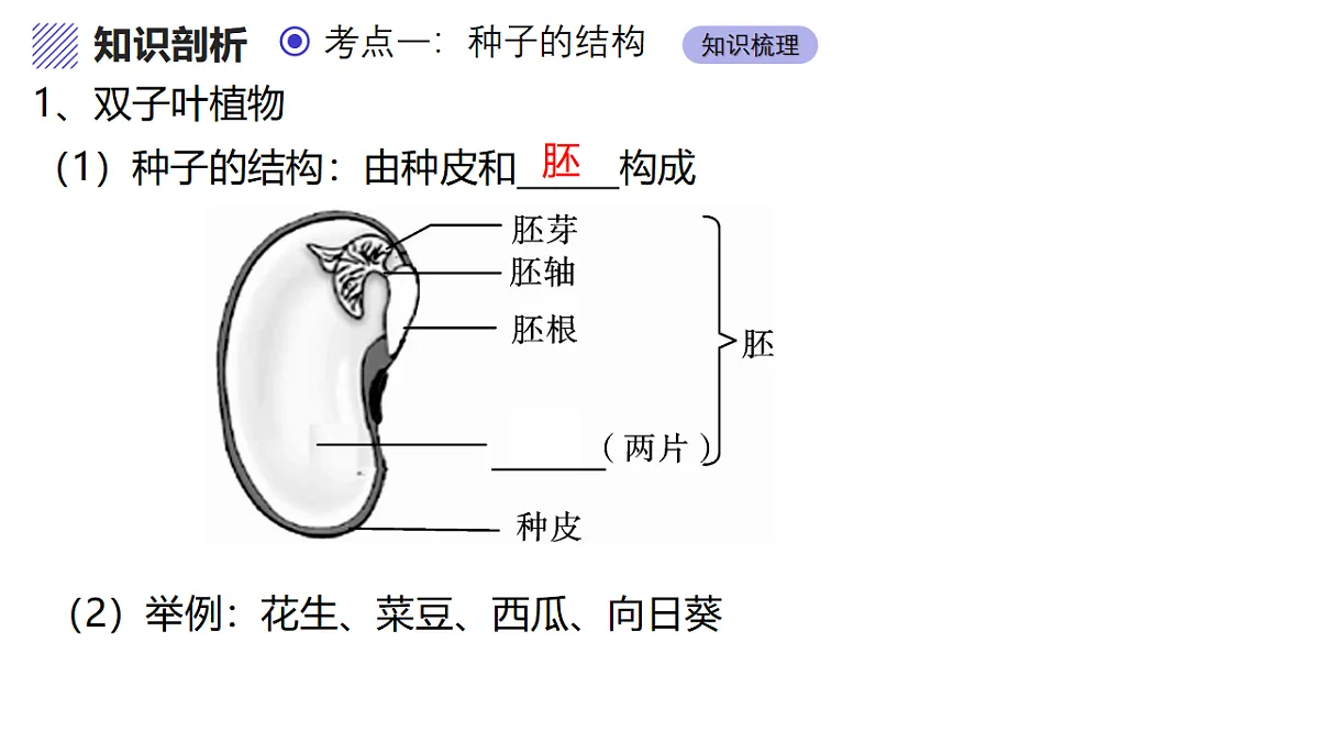 17347139第5页