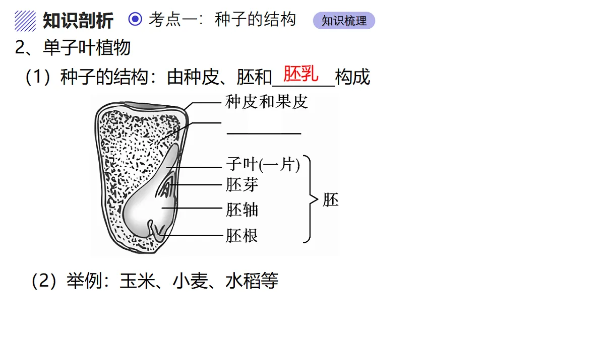 17347139第6页