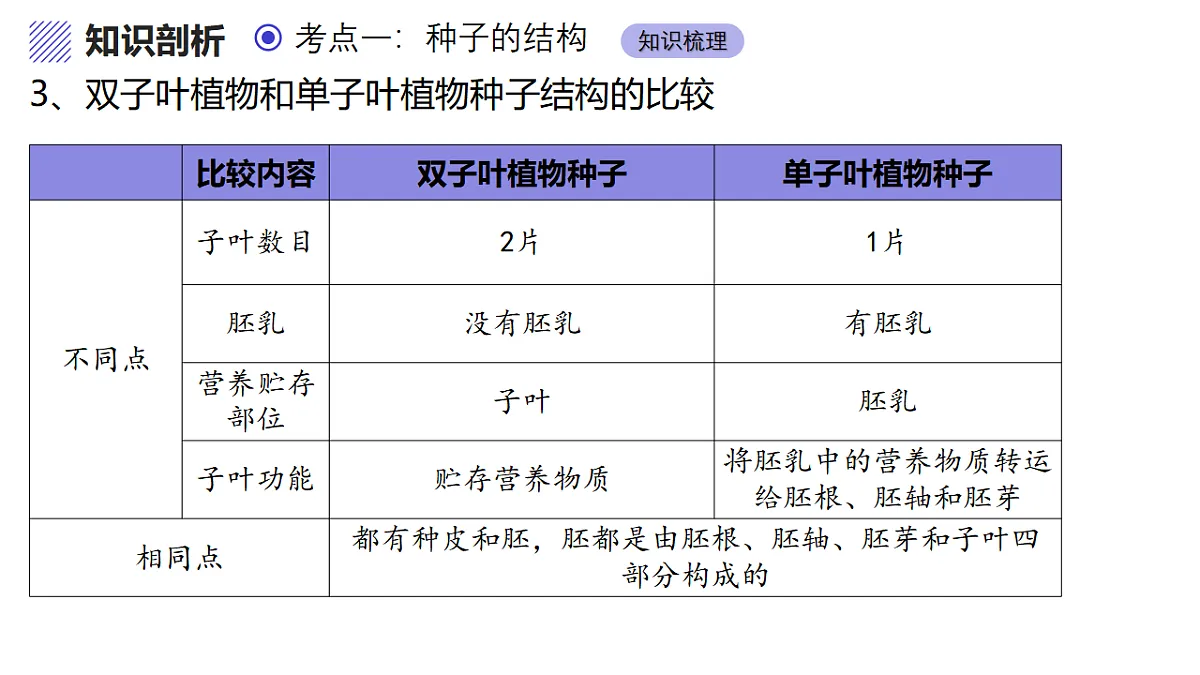 17347139第7页