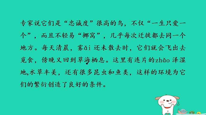 17347159第3页