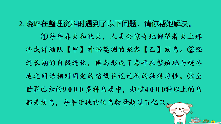 17347159第5页