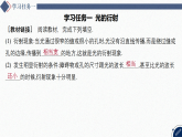 2025-2026学年高中物理人教版（2019）选择性必修第一册 第4章 5 光的衍射 课件