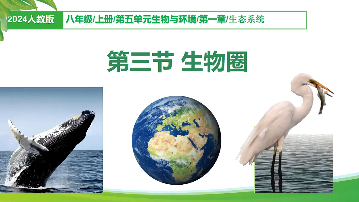 17347239第1页