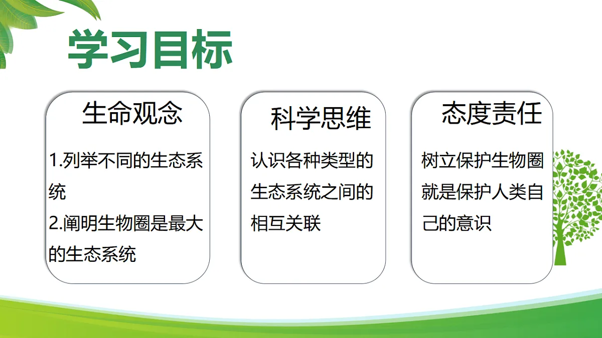 17347239第2页