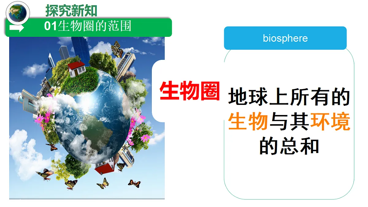 17347239第5页