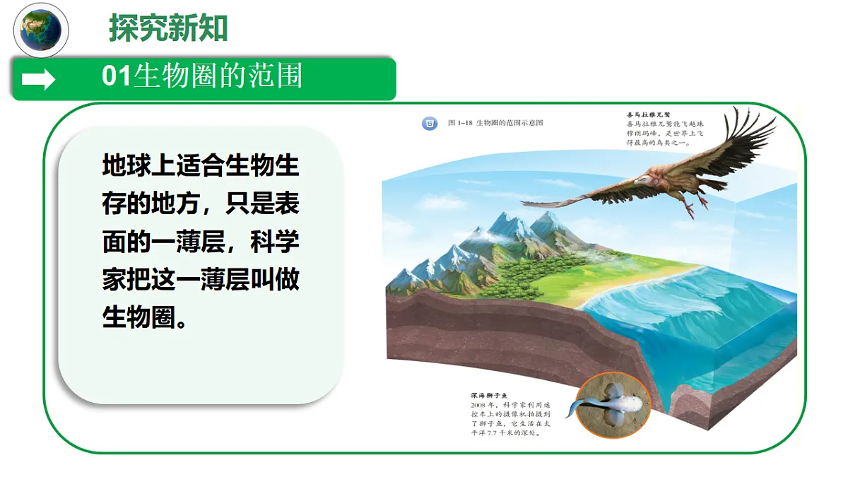 17347239第6页