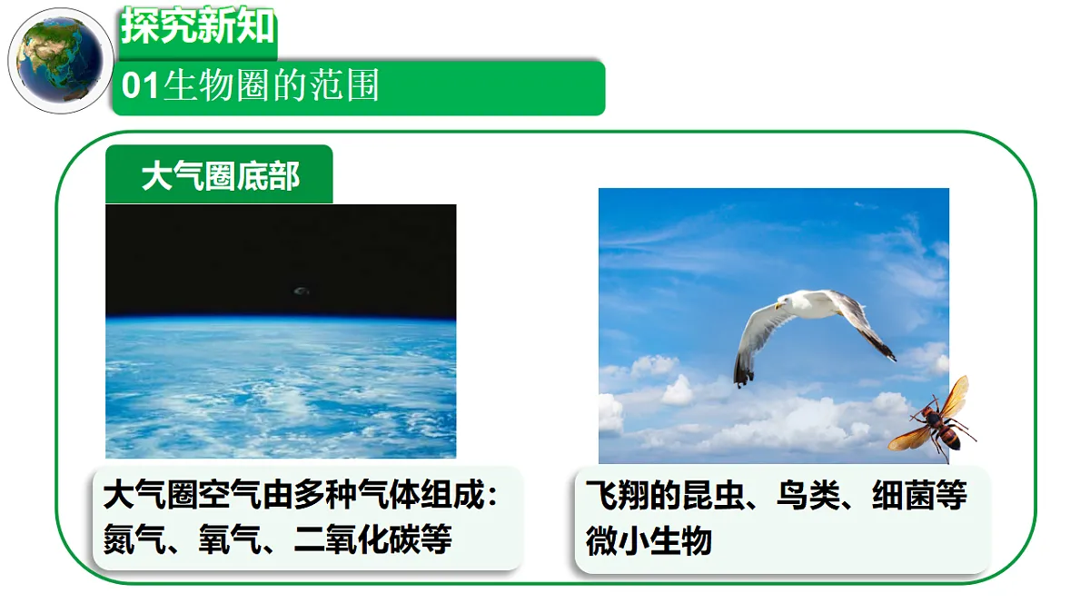 17347239第8页
