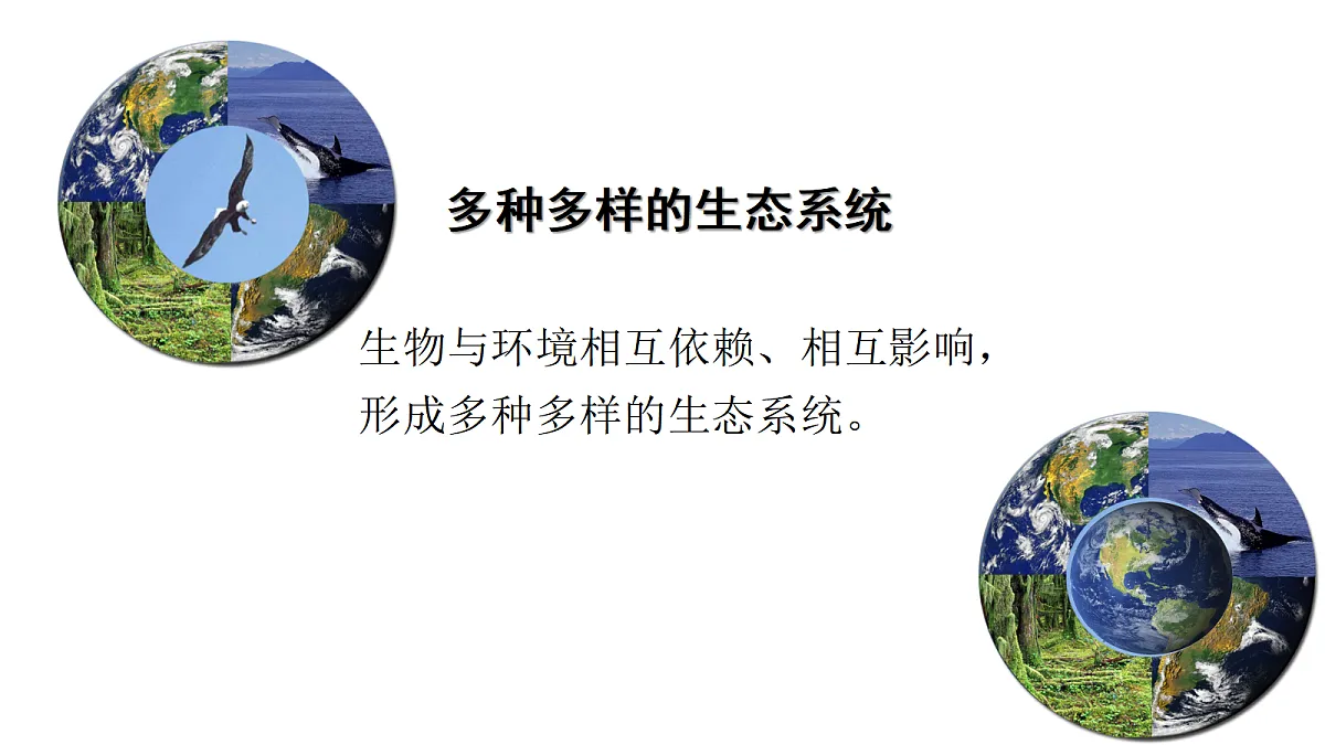 17347240第5页