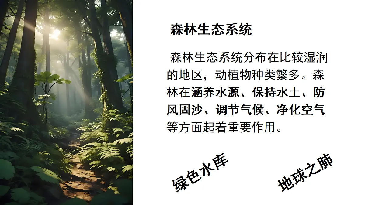 17347240第6页