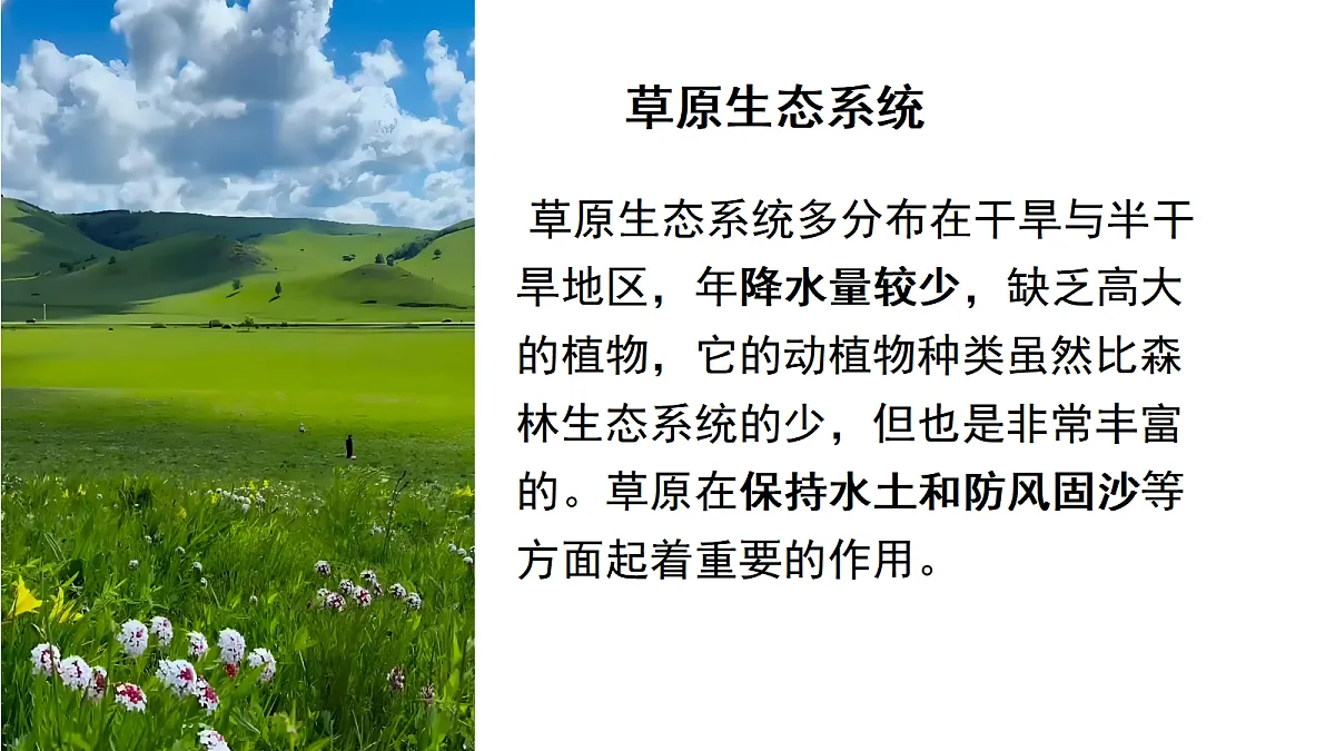 17347240第7页