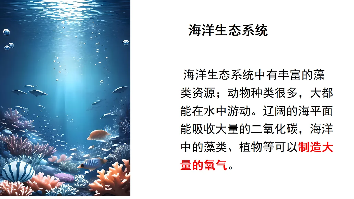 17347240第8页
