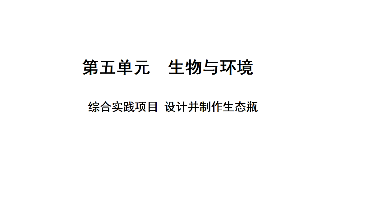 17347241第1页