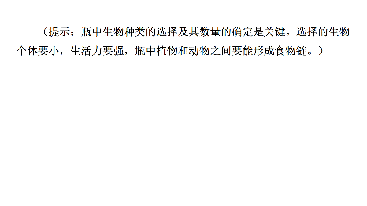 17347241第5页
