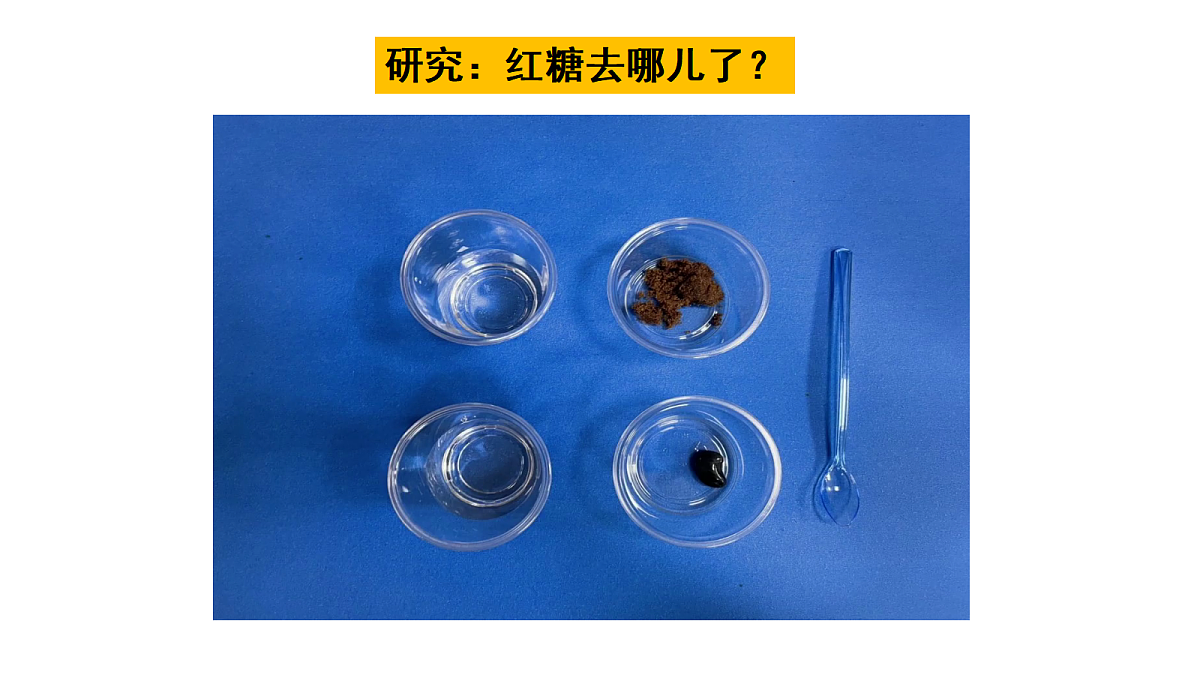 7.它们去哪里了第5页