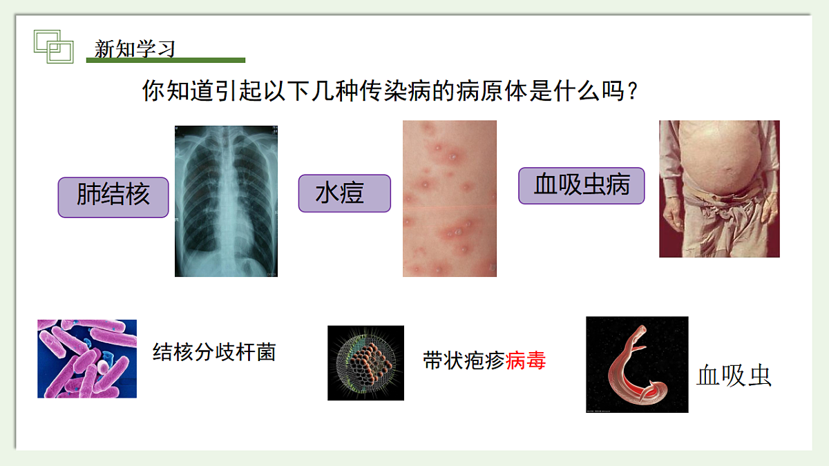17347380第5页