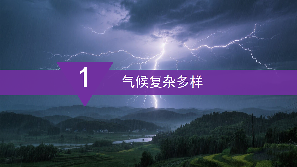 17347779第7页