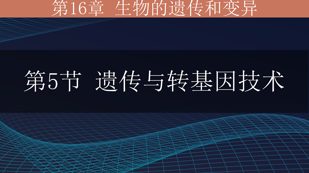 17348011第1页