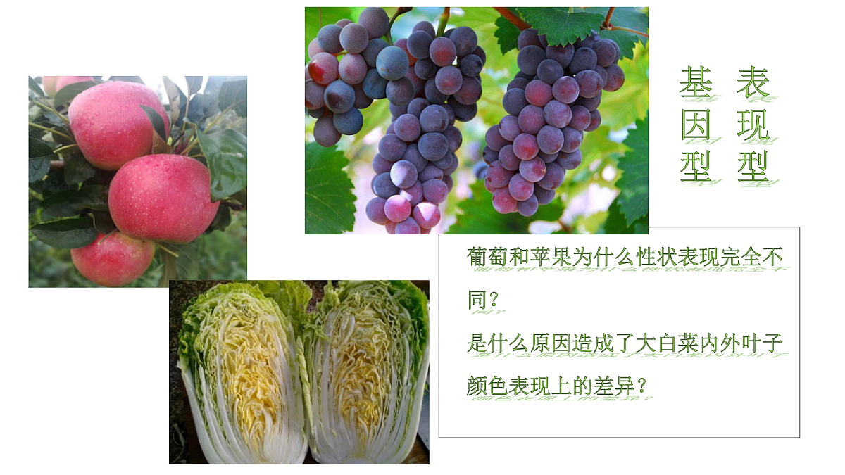 17348011第2页
