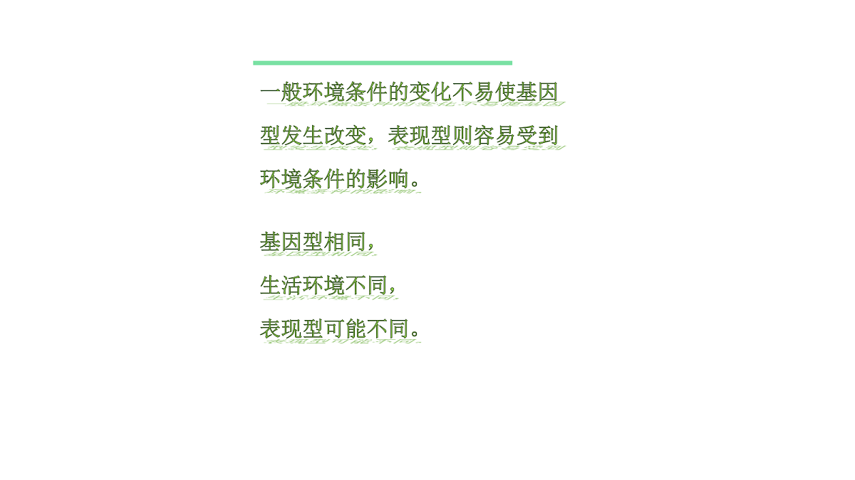 17348011第3页
