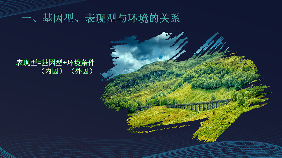 17348011第4页