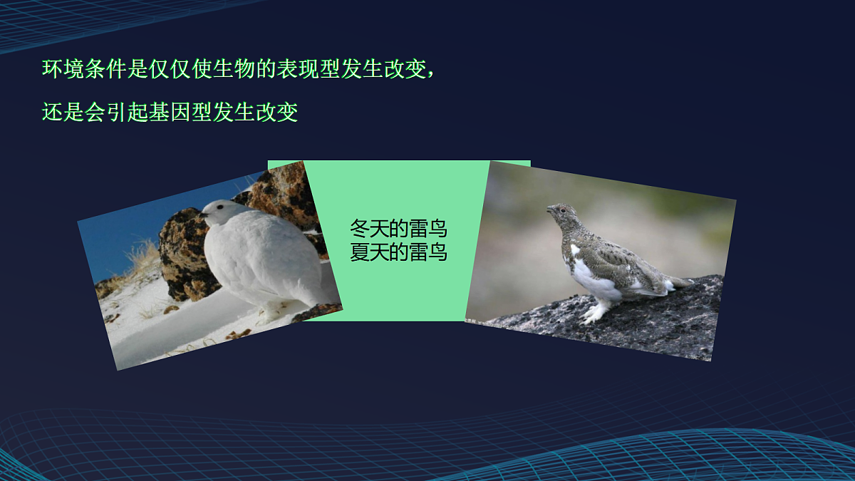 17348011第5页
