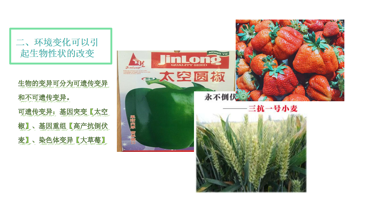 17348011第6页