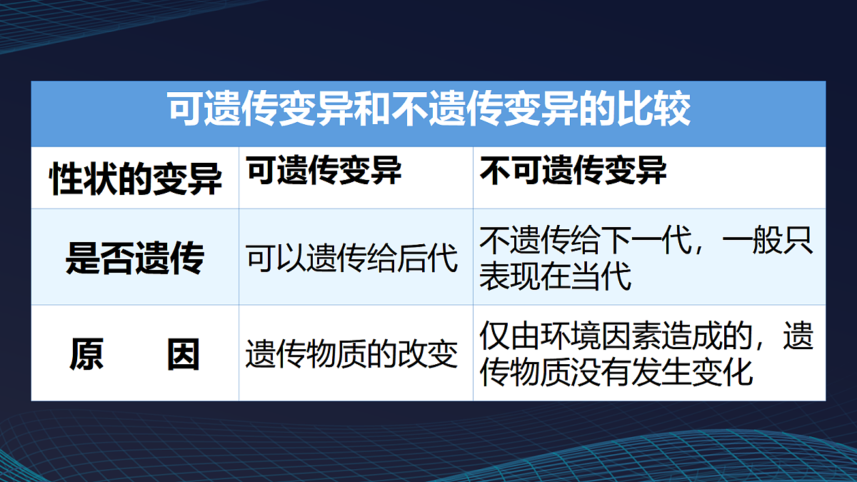 17348011第7页