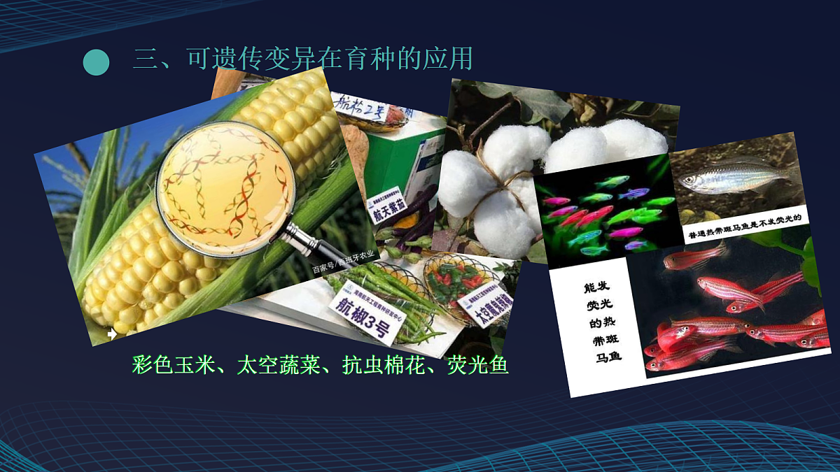 17348011第8页