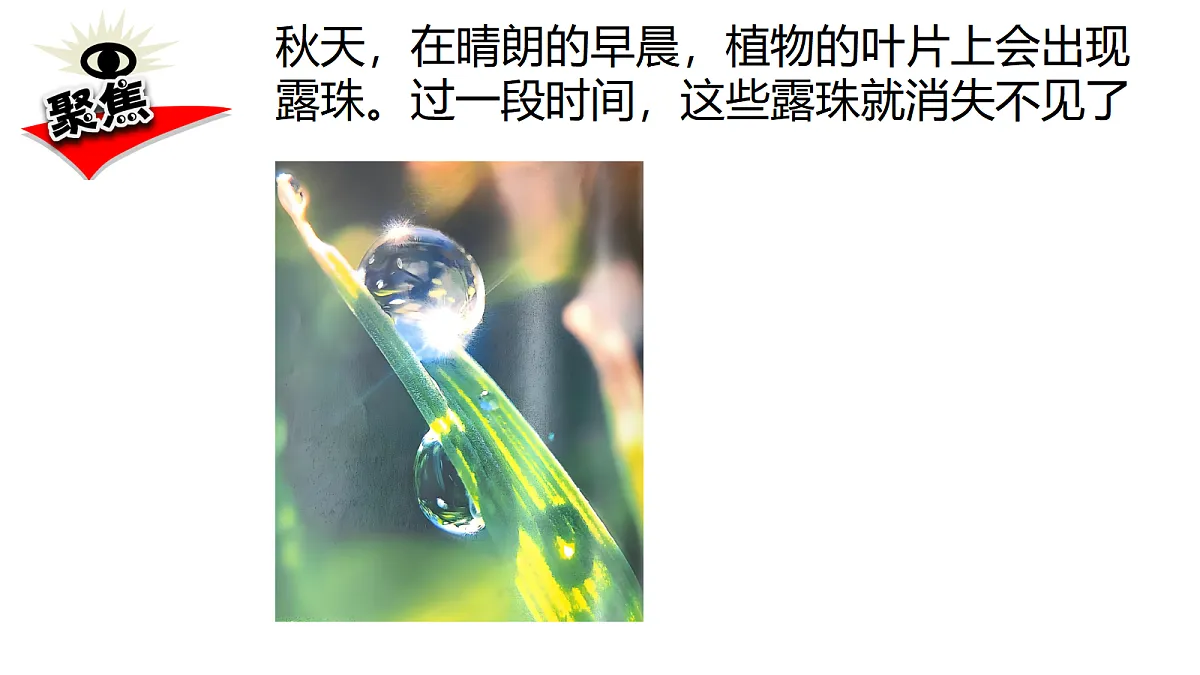 17348132第2页