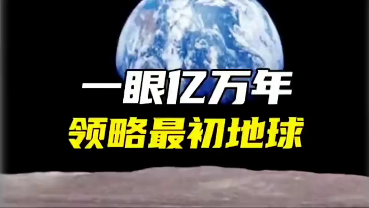 17348184第5页