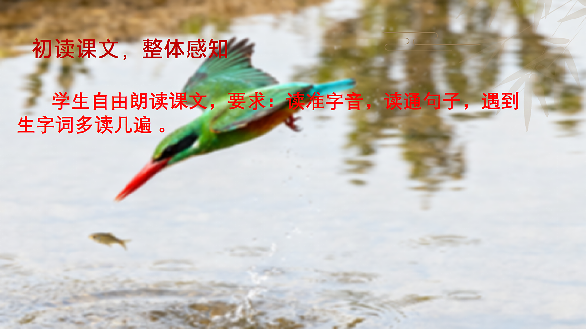 14、《搭船的鸟》课件第6页