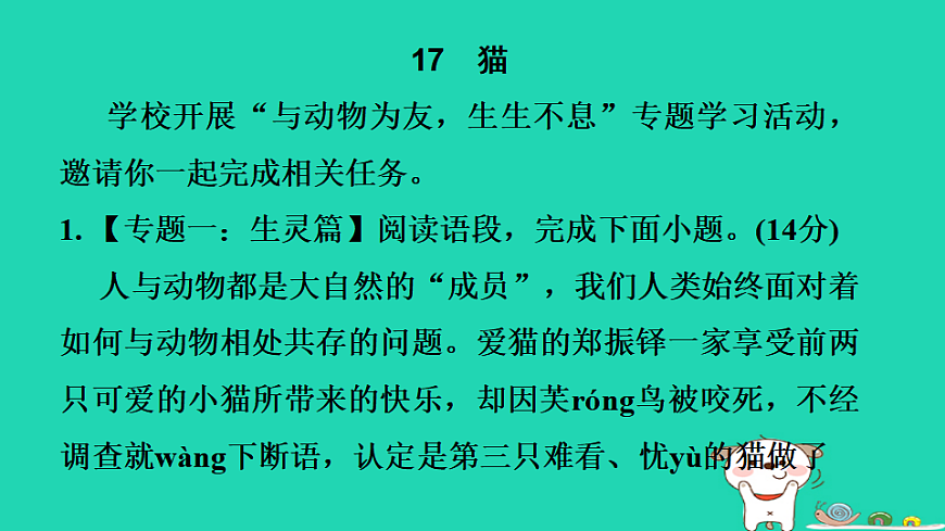 17349465第3页