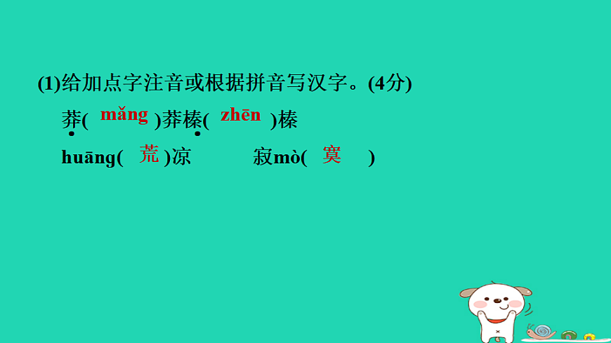 17349469第5页