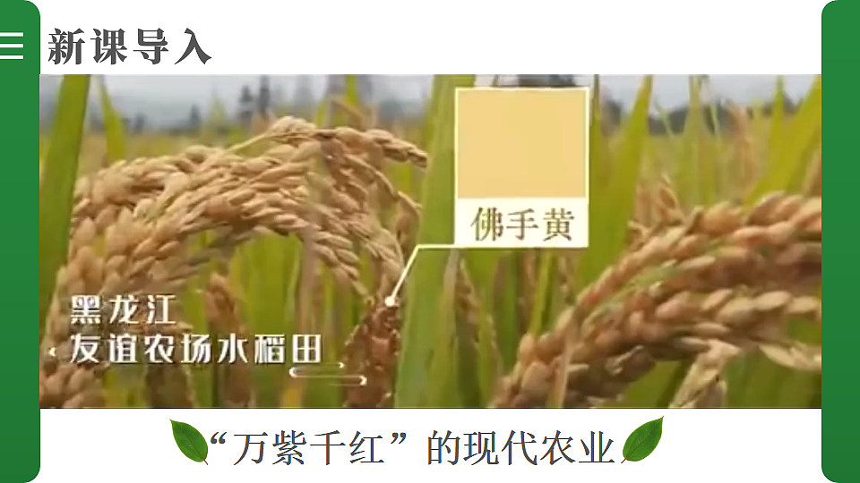 第一节 中国的农业第3页