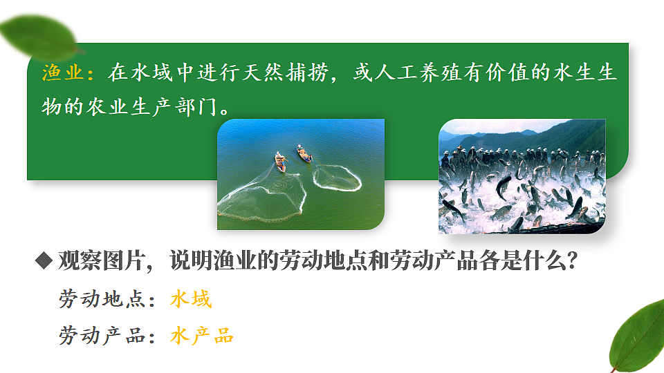 第一节 中国的农业第7页