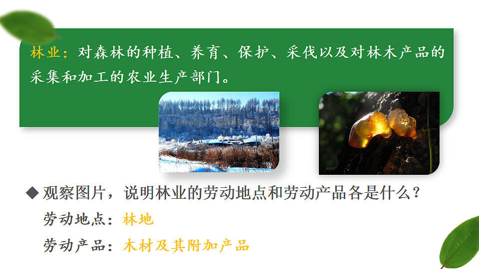 第一节 中国的农业第8页