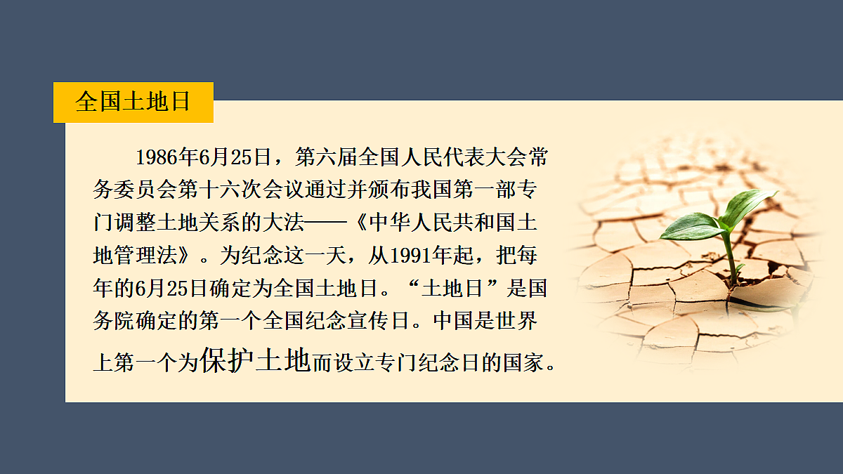 17349611第3页