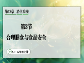 12.3 合理膳食与食品安全（课件）2025-2026学年苏教版八年级生物上册